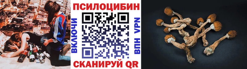 где купить наркотик  Севск  Псилоцибиновые грибы Psilocybine cubensis 